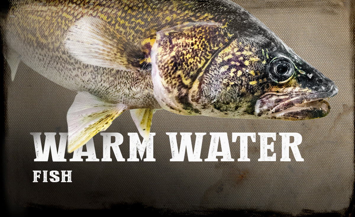 WARM WATER FISH