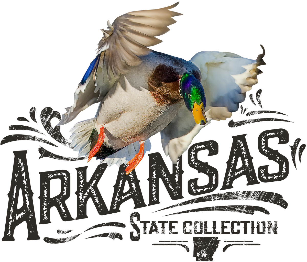 STATE BIRDS
