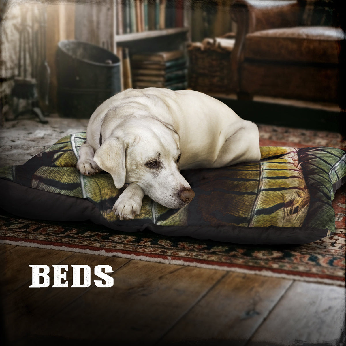 PET BEDS