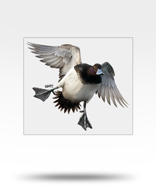Bluebill Flying Large Transparent Outdoor Sticker