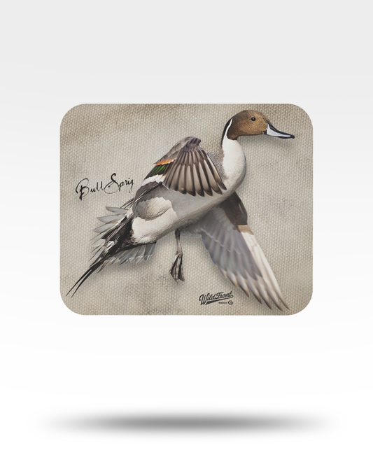 Flying Pintail Mouse Pad
