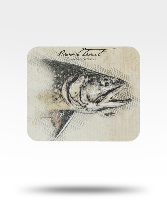Brook Trout Mouse Pad