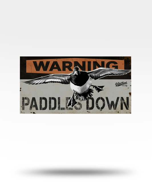 Paddles Down Bluebill Bumper Stickers