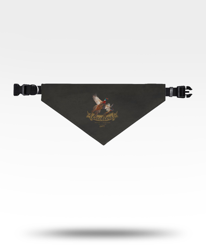 Cacklers Flushing Pheasants et Bandana