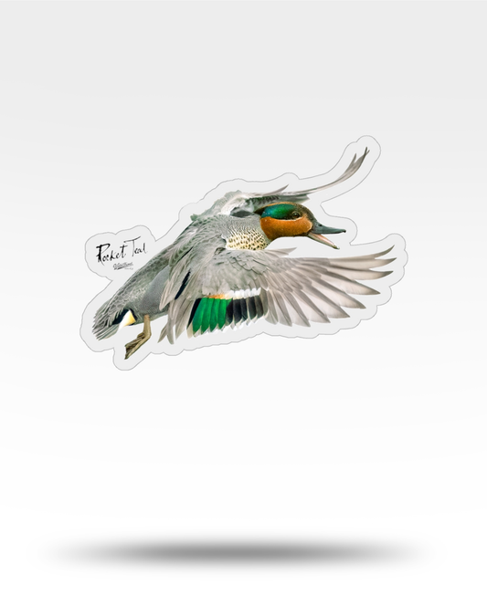Green-Winged Teal Transparent Outdoor Die-Cut Sticker