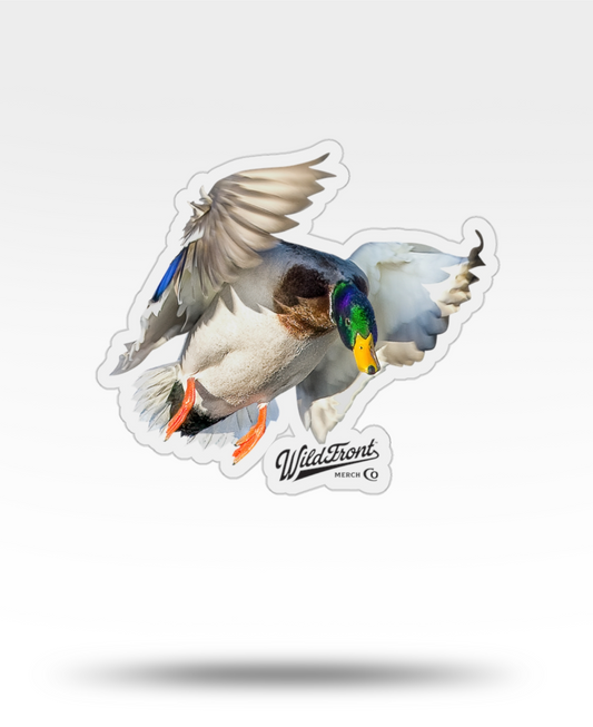 Mallard Flying Transparent Outdoor Die-Cut Sticker