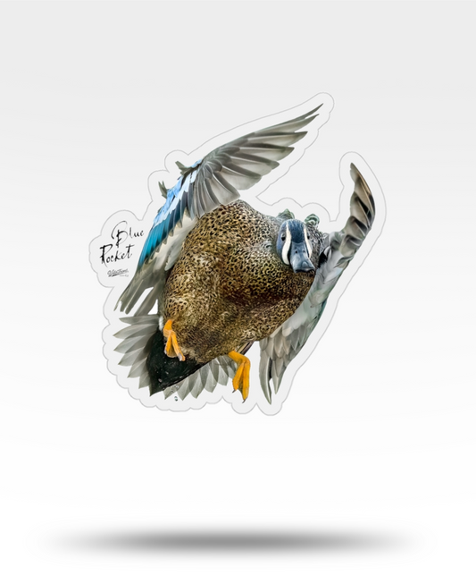 Blue-Winged Teal Flying Transparent Outdoor Die-Cut Sticker