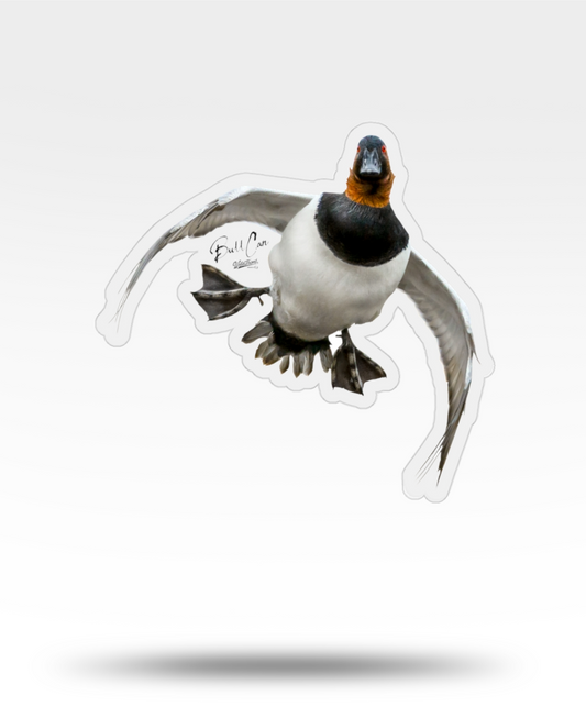 Canvasback Flying Transparent Outdoor Die-Cut Sticker