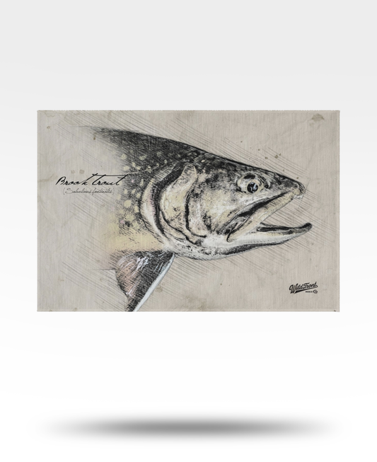Brook Trout Outdoor Rug