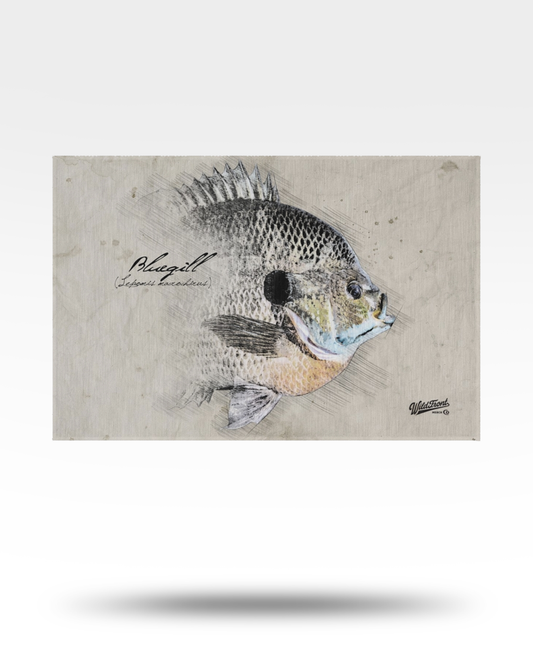 Bluegill Outdoor Rug