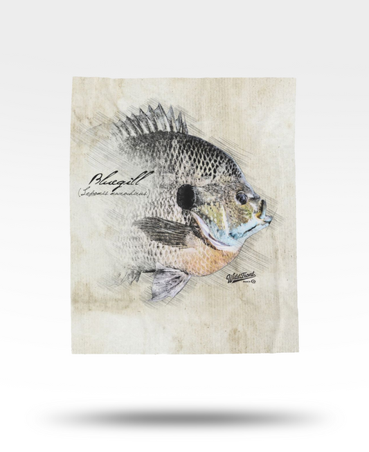 Bluegill Velveteen Plush Blanket