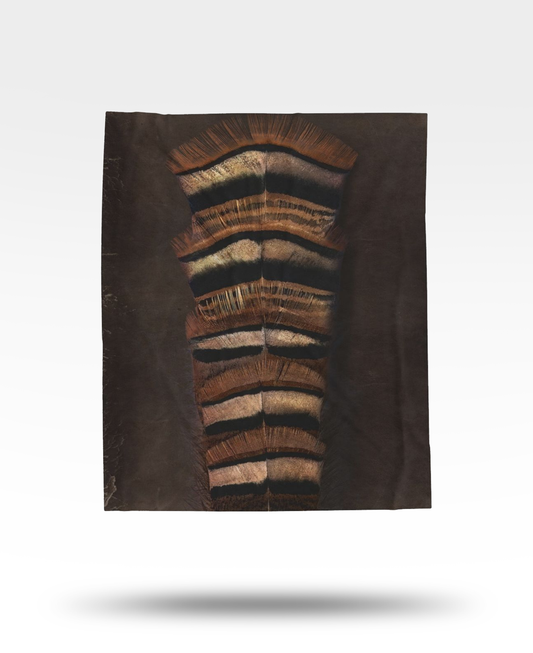 Turkey Feathers Dark Velveteen Plush Blanket