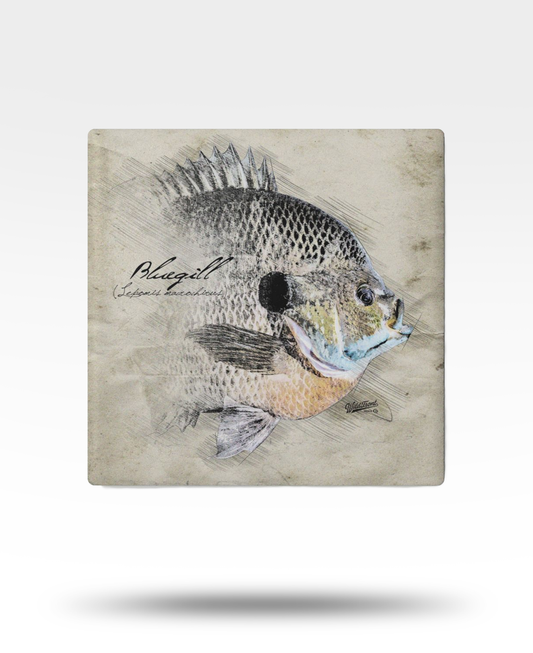 Bluegill Ceramic Coaster