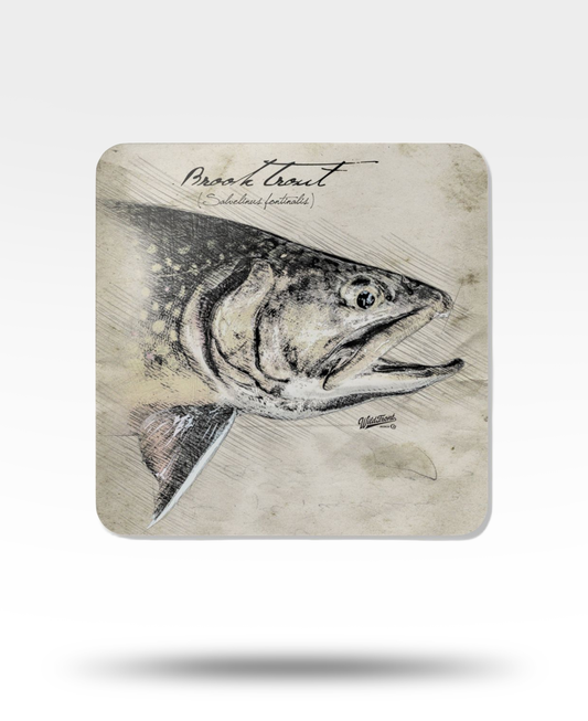 Brook Trout Corkwood Coaster Set