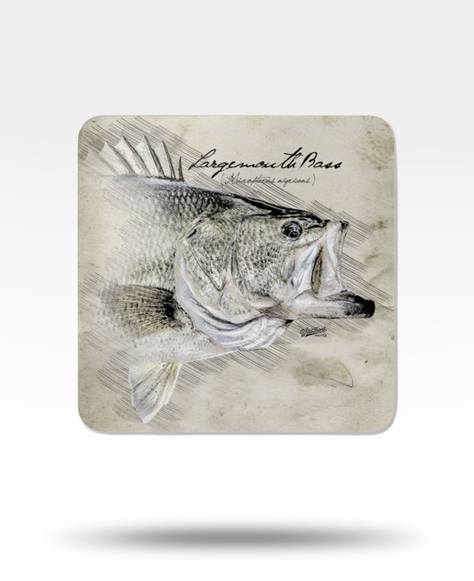 Largemouth Bass Corkwood Coaster Set