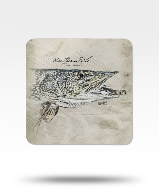 Northern Pike Corkwood Coaster Set