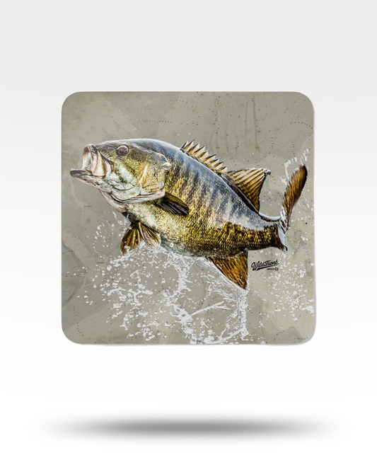 Smallmouth Bass Corkwood Coaster Set