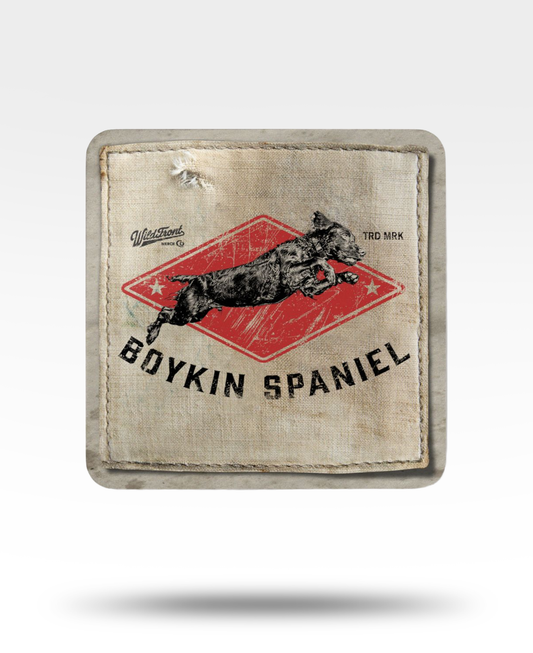 Boykin Spaniel Corkwood Coaster Set