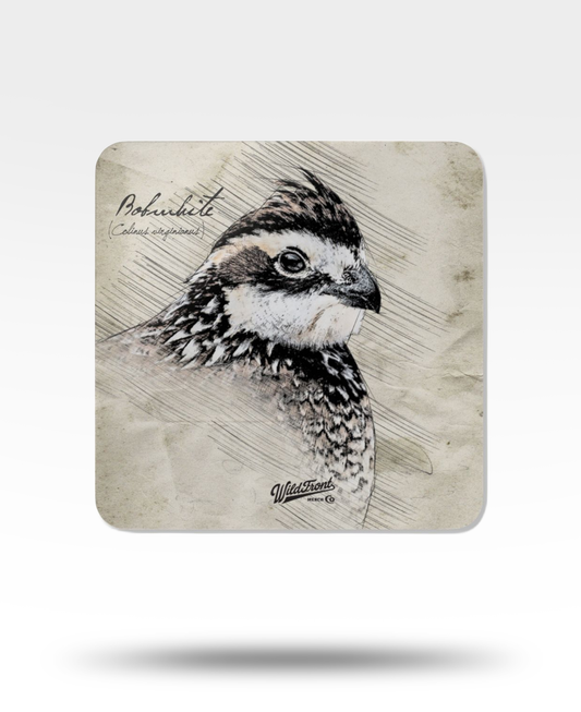 Bobwhite Quail Corkwood Coaster Set