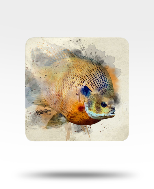 Bluegill Corkwood Coaster Set