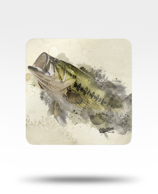 Largemouth Bass Corkwood Coaster Set