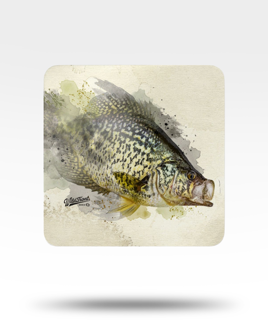 Crappie Corkwood Coaster Set