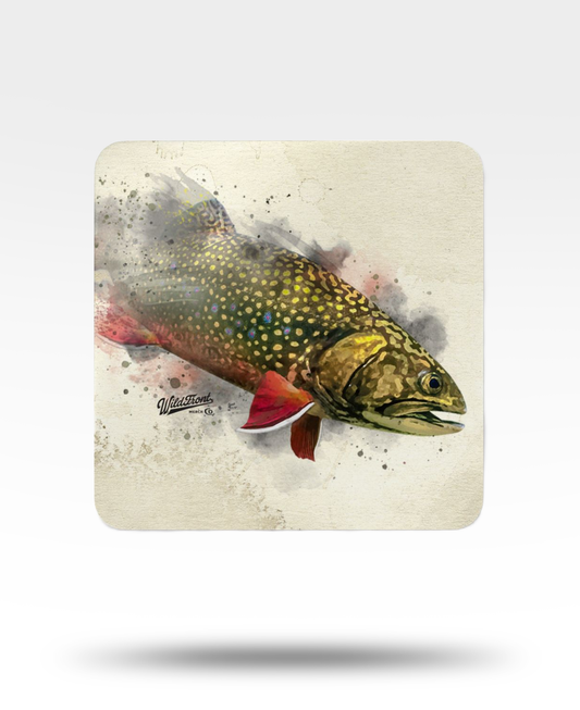 Brook Trout Corkwood Coaster Set