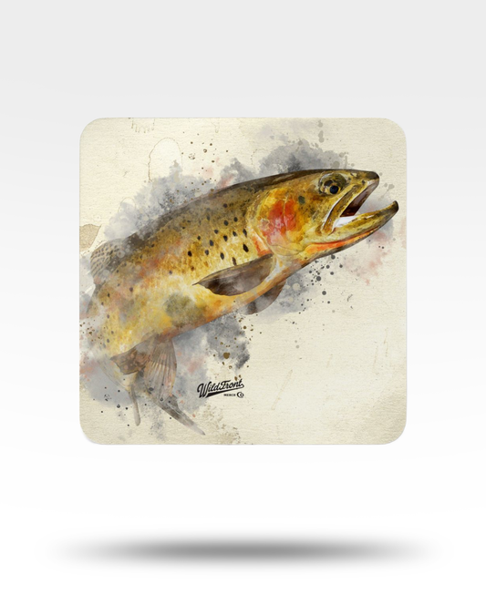 Cutthroat Trout Corkwood Coaster Set