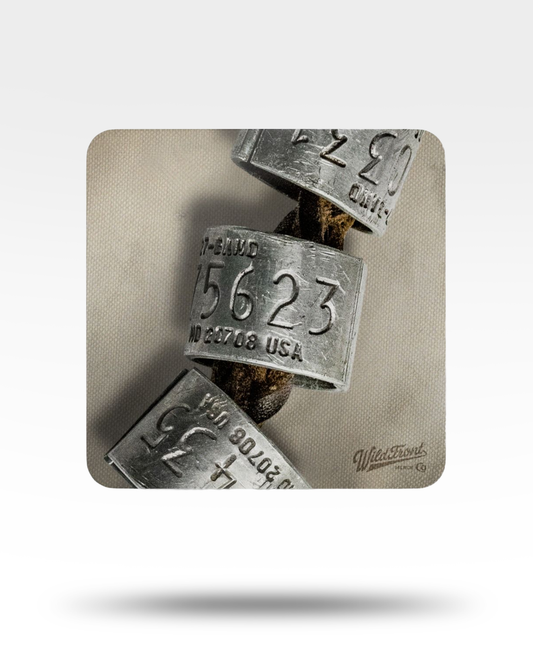 Waterfowl Bands Corkwood Coaster Set