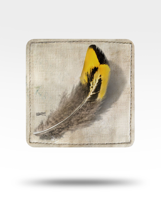Pheasant Feather Corkwood Coaster Set
