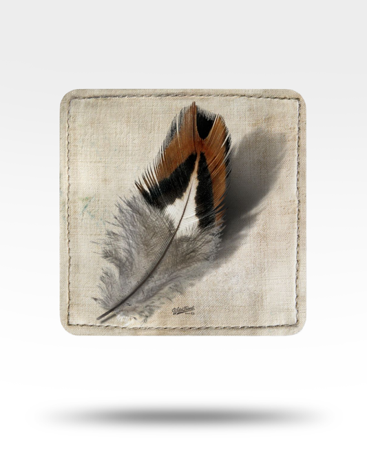 Pheasant Feather Dark Corkwood Coaster Set
