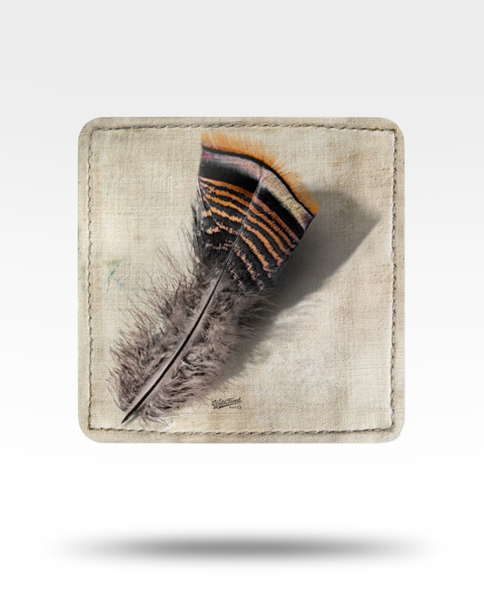 Turkey Feather Corkwood Coaster Set