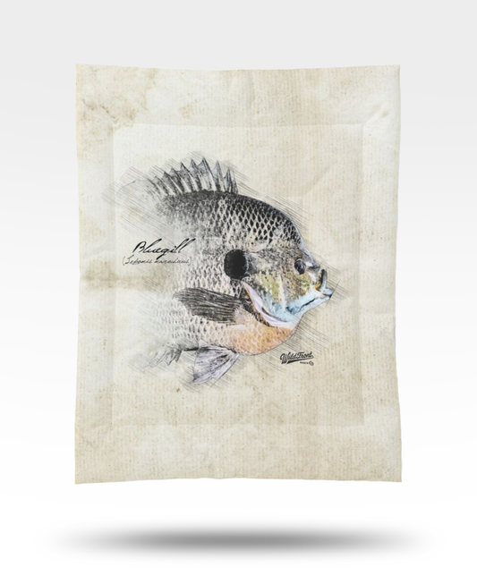 Bluegill Cotton Comforter