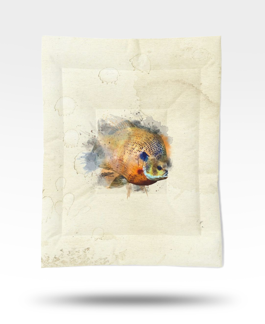 Bluegill Cotton Comforter