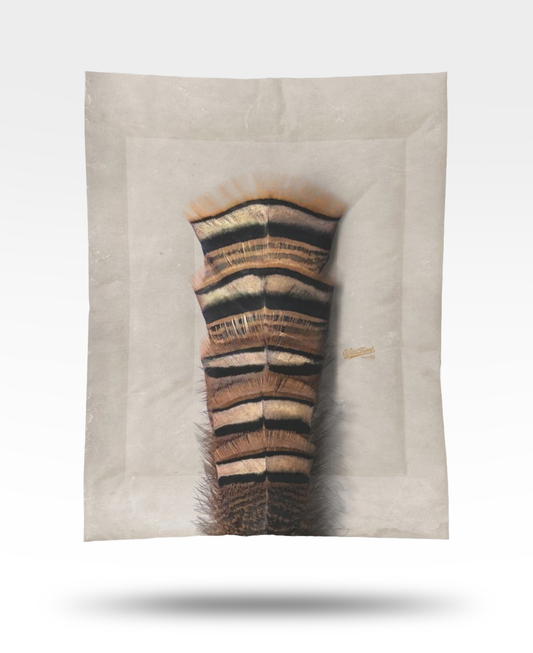 Turkey Feathers Stacked Light Cotton Comforter