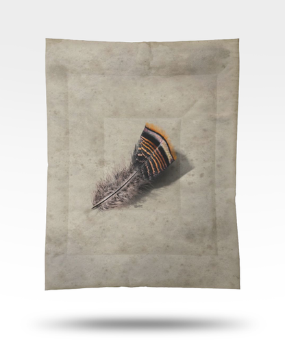 Turkey Feather Cotton Comforter