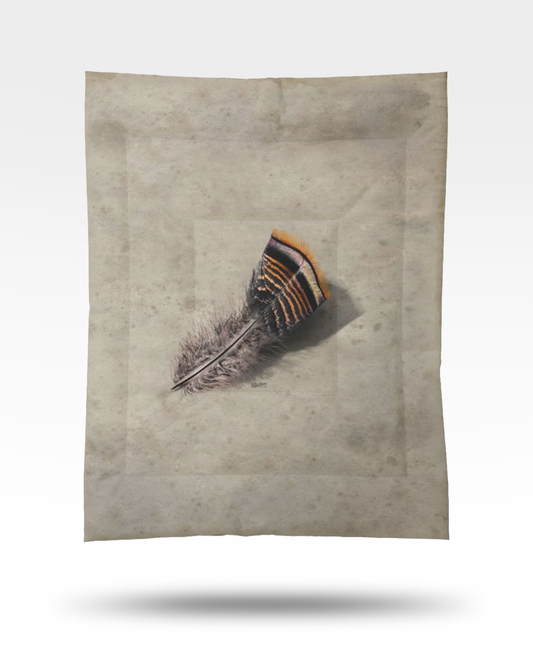 Turkey Feather Cotton Comforter