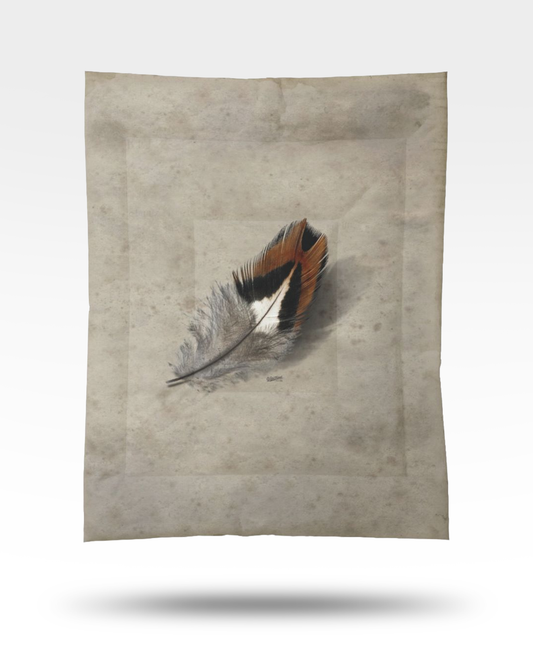 Pheasant Feather Dark Cotton Comforter