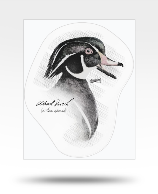 Wood Duck Kiss-Cut Vinyl Decal