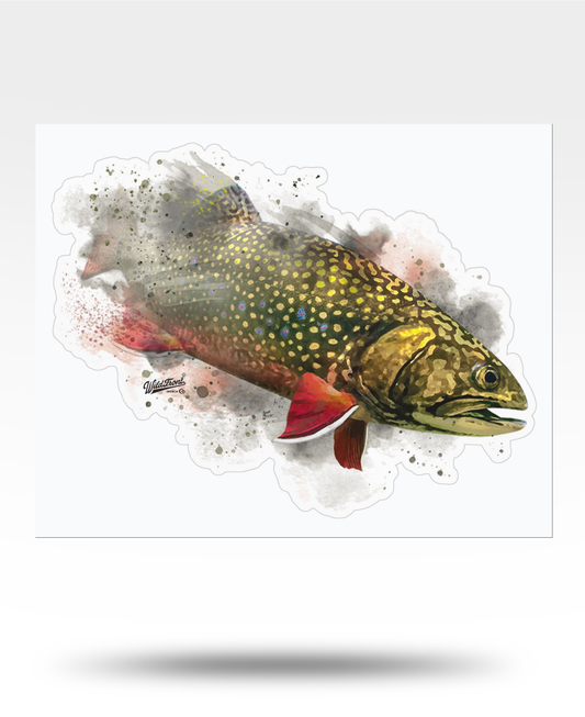 Brook Trout Watercolor Kiss-Cut Vinyl Decal