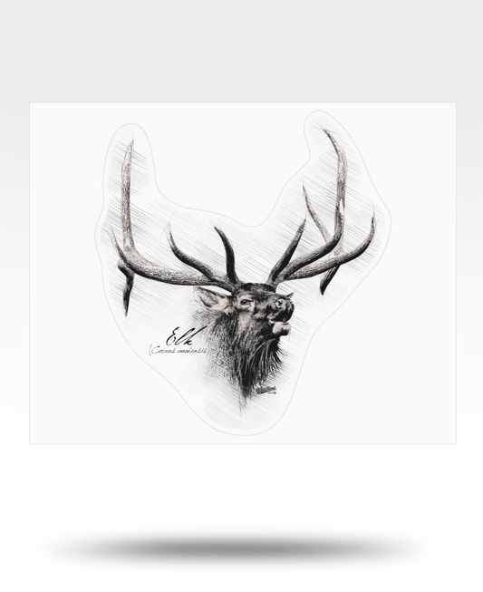Elk Drawing Kiss-Cut Vinyl Decal