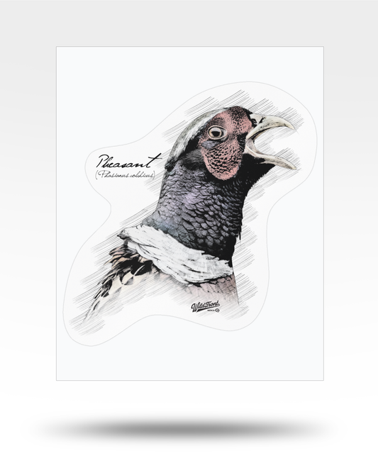 Pheasant Drawing Kiss-Cut Vinyl Decal