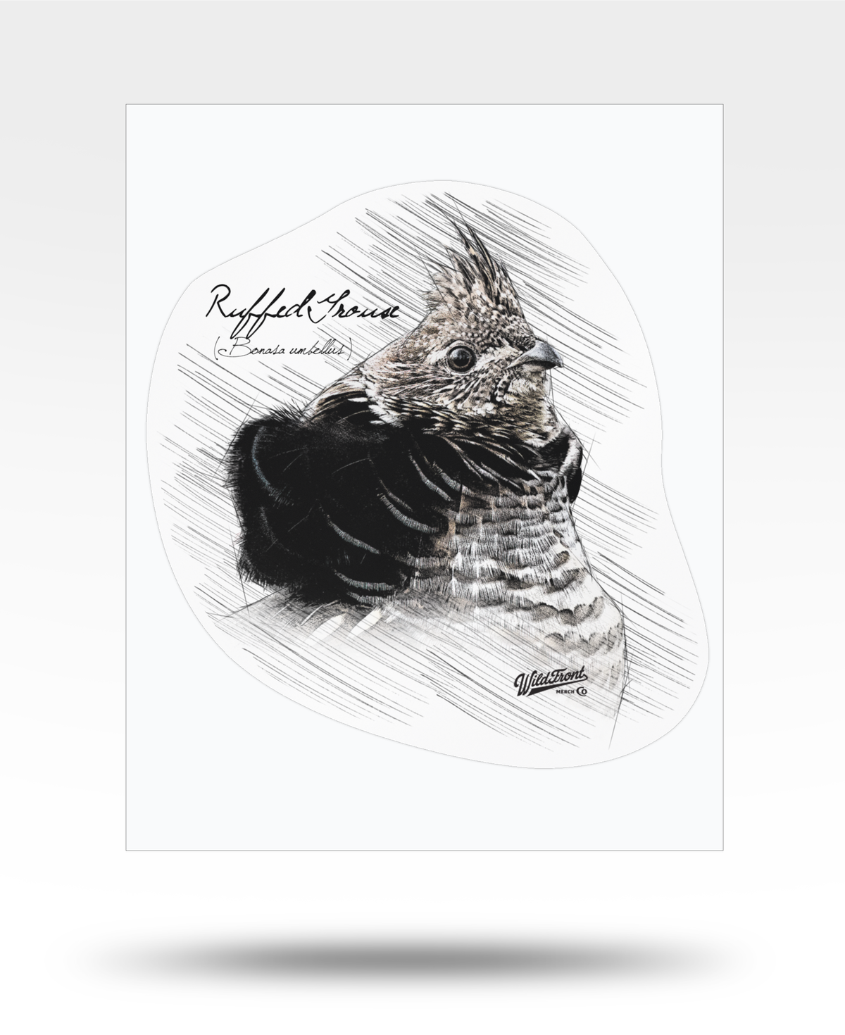 Ruffed Grouse Drawing Kiss-Cut Vinyl Decal