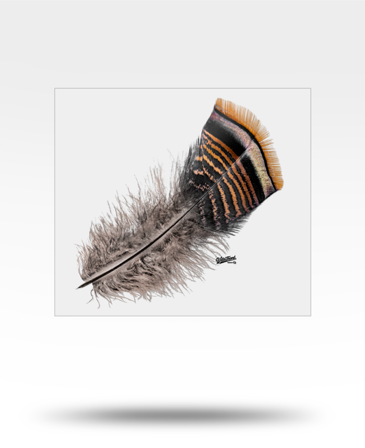 Turkey Feather Large Transparent Sticker