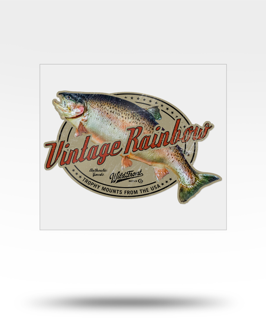 Vintage Rainbow Trout Large Transparent Sticker