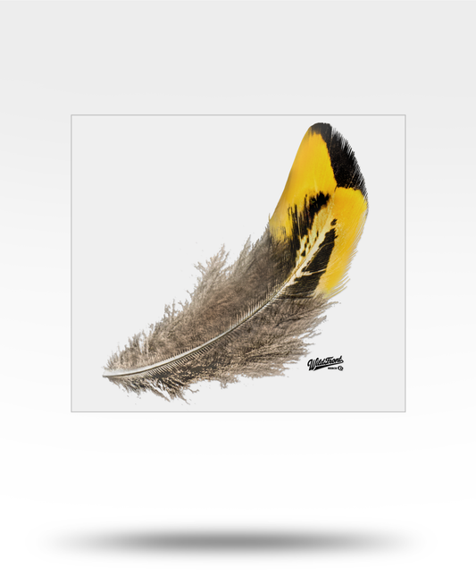Pheasant Feather Large Transparent Sticker