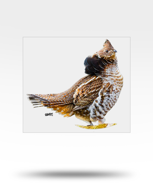 Ruffed Grouse Large Transparent Sticker