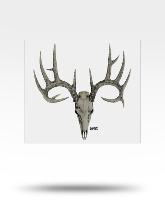 Whitetail Deer Skull Large Transparent Sticker