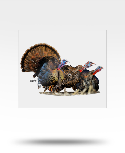 Turkey Trio Large Transparent Sticker