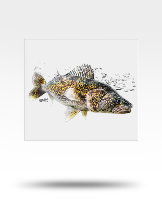 Walleye Large Transparent Sticker